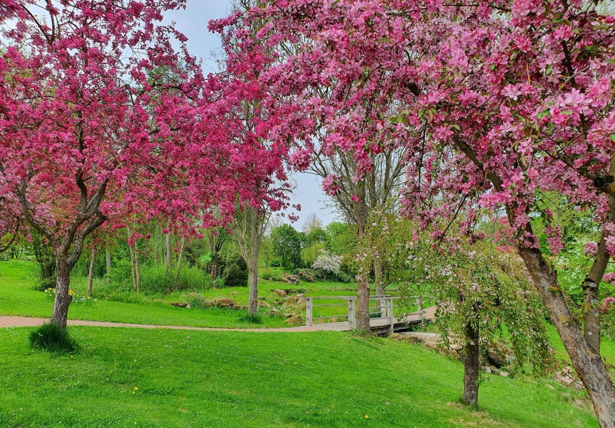 巴德茨韦斯滕Kleinod Am Kurpark公寓 外观 照片